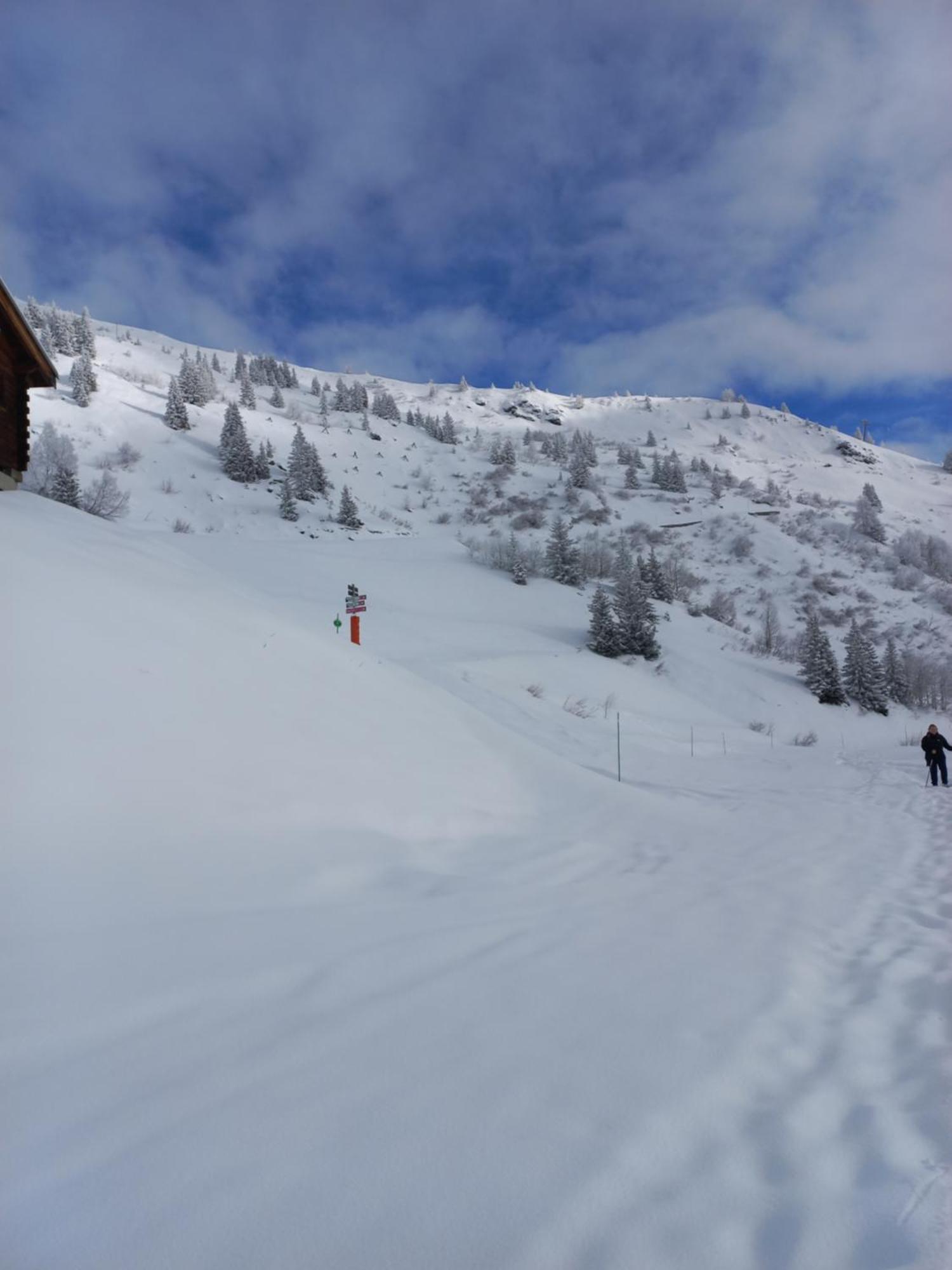 Le Nid Douillet Du Belvedere Montvalezan Exteriör bild